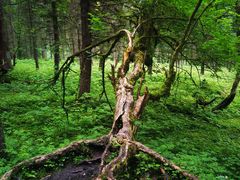 -硗碛藏寨·神木垒景区