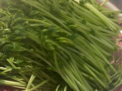 -九鼎轩脆毛肚火锅(三钢里店)