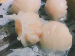 -点点心点心专门店(湾仔店)