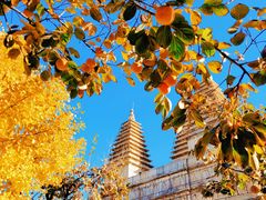 -北京石刻艺术博物馆(五塔寺)