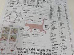 -小伙伴宠物医院·CT·骨科·眼科(高新店)