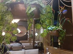 -云海肴·汽锅鸡·云南菜(天津国金汇店)