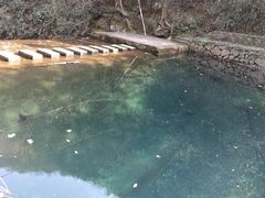 -白云源风景区