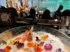 -地球美食剧场