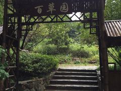 -上海市保健医疗中心(华东疗养院)