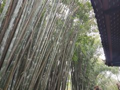 -成都杜甫草堂博物馆