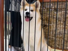 -欧亚汇集(飞跃路店)