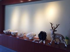 iphone_upload_pic-北戴河圣蓝海洋公园