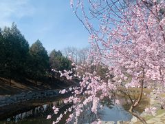 -圆明园停车场