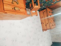 -金山农民画村-枫泾波兰倒置屋