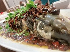 -松月湖大酒店