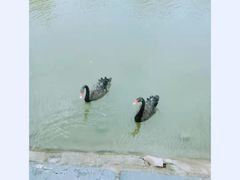 -芭东小镇温泉