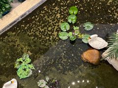 -广州白天鹅宾馆