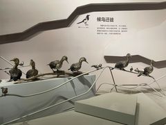 -武汉园博园(武汉自然博物馆)