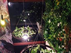 -胡桃里音乐酒馆(白云五号T5 MALL店)