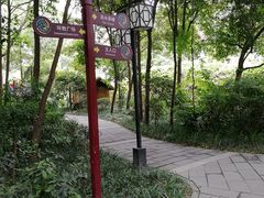 -成都市活水公园