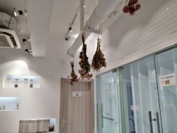 -OM瑜伽教练培训学院