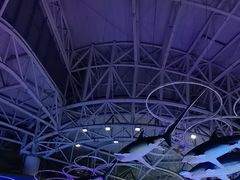 -烟台海昌鲸鲨海洋公园