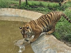 -昆明动物园