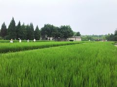 -北坞公园