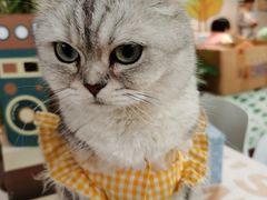 -小时光咖啡馆(北锣鼓巷店)