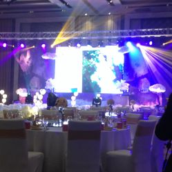 -M'S BANQUET AND SPACE ART