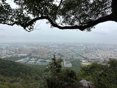 -惠山国家森林公园