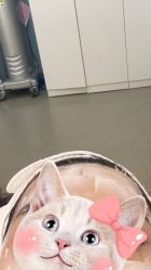 -上海首尔丽格医疗美容医院