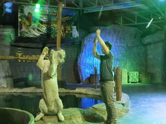 -清迈夜间动物园