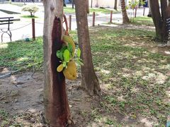 -吐斯廉屠杀博物馆