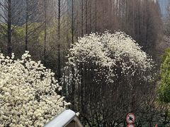 -外高桥保税区南(地铁站)