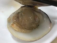 -顺德哥卜卜贝(旗舰店)