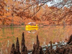 -上海海湾国家森林公园