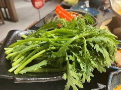 茼蒿-湊湊火锅·茶憩(世博大道店)