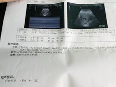 -上海天伦医院