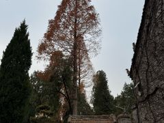 -兴教寺