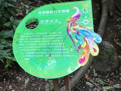 -西双版纳原始森林公园