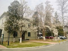 -君庭中餐厅(友谊宾馆店)