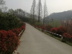 -冶山国家矿山公园