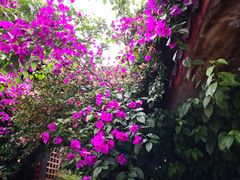 -丽江花间堂·隐泉院