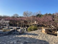 -北京凤凰岭