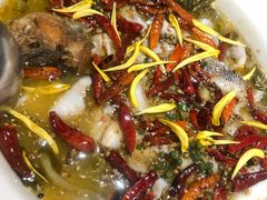 二人份酸菜鱼-太二酸菜鱼(沈阳万象城店)