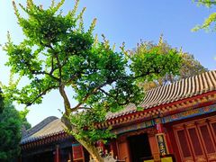 -西安市广仁寺
