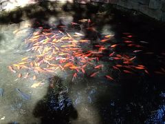 -水磨沟公园