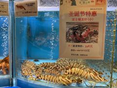 -city'super超·生活(国金中心商场店)