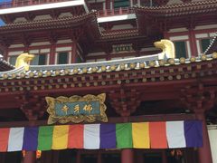 -新加坡佛牙寺龙华院