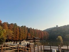 -采石矶景区