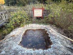 -天芳悦潭度假村温泉