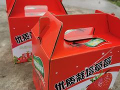-小鱼草莓采摘园农家乐·小鱼餐厅