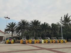 -万尾金滩